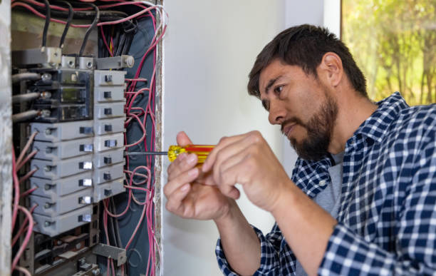 Best Electric Panel Repair  in , AL